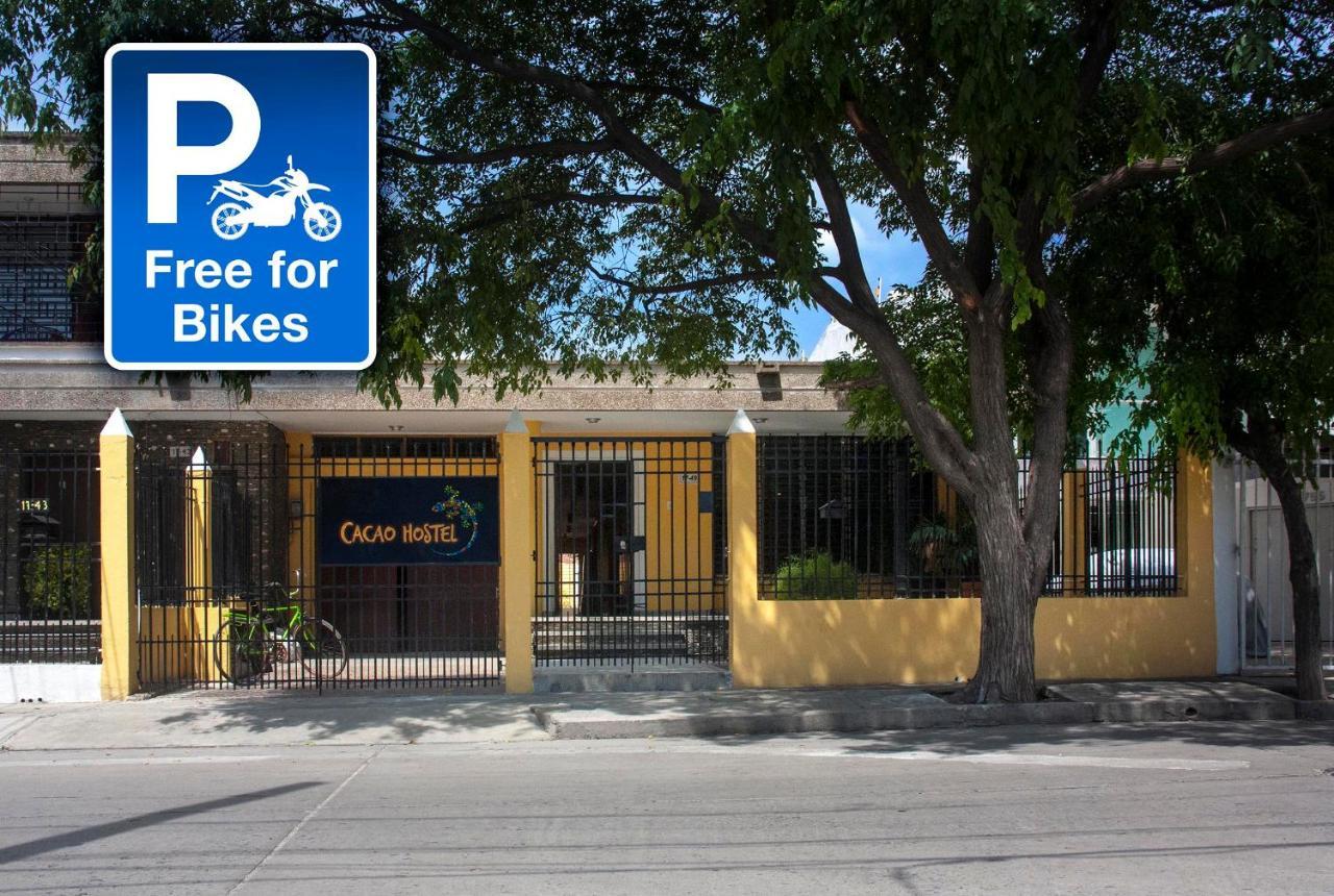 Cacao Hostel